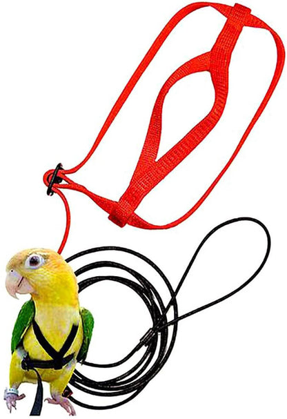 Harnais et Corde de Vol pour Oiseaux - Papapattes