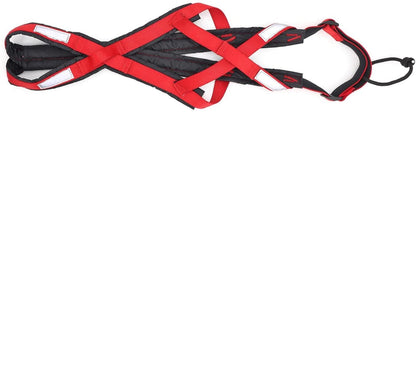 Harnais de Course Confortable pour Chien - Papapattes