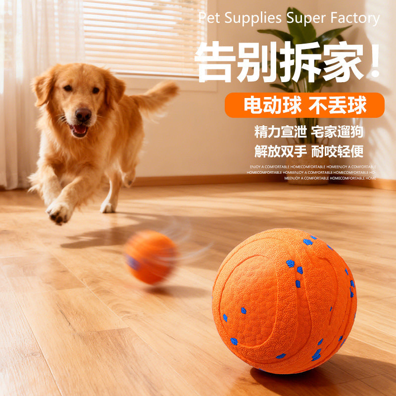 Jouet pour chien, balle sautillante interactive