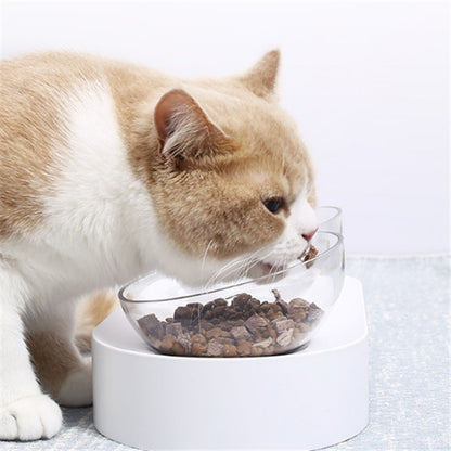 Gamelle ajustable pour chat - Confort optimal - Papapattes