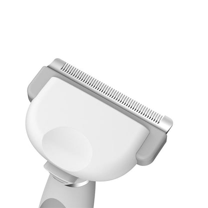 Outil de toilettage professionnel pour garder votre animal élégant.