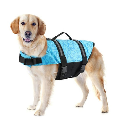 Paw Roll : jouet éducatif stimulant pour chien - Papapattes