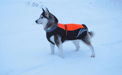 Doudoune Chic et Chaude pour Chien - Papapattes
