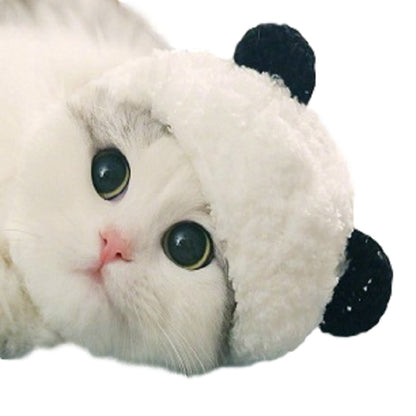 Chapeau panda pour animaux - Papapattes