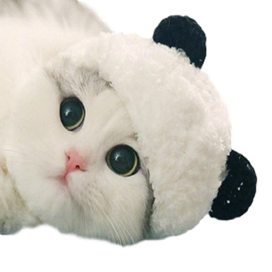 Chapeau panda pour animaux - Papapattes