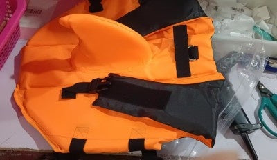 Gilet de sauvetage amusant requin pour chien à la plage.