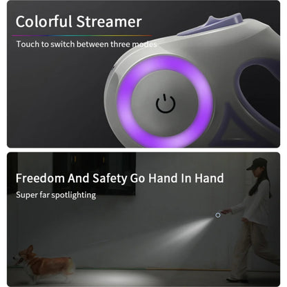 Laisse rétractable lumineuse pour chien, assurant sécurité lors des promenades nocturnes.