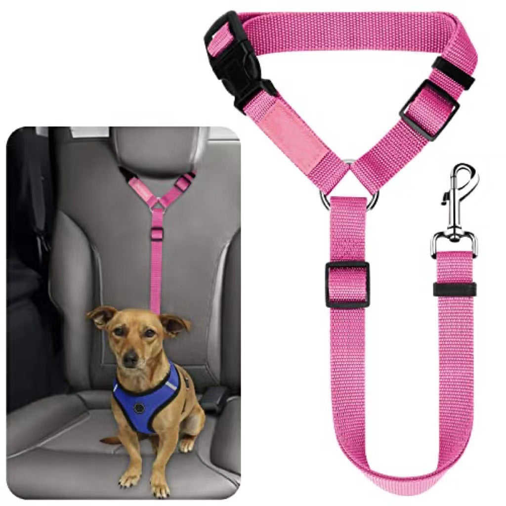 Laisse pour chien, ceinture de sécurité, grand chien
