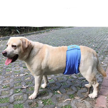 Ceinture de Maintien Hygiénique pour Chien - Papapattes