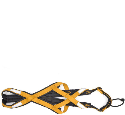 Harnais de Course Confortable pour Chien - Papapattes