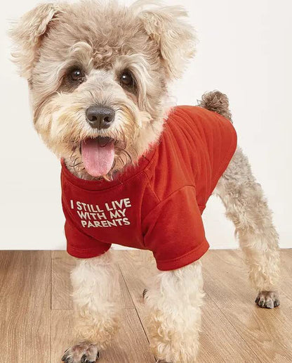 T-shirt rond pour chien et chat - Papapattes