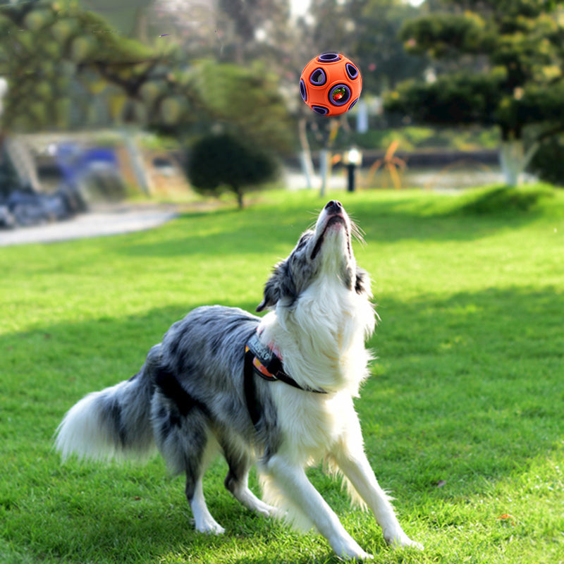 Jouet interactif pour chiens - balle amusante en caoutchouc