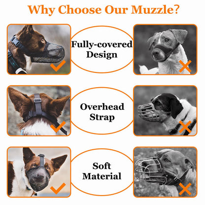 Masque de protection pour chien - Papapattes