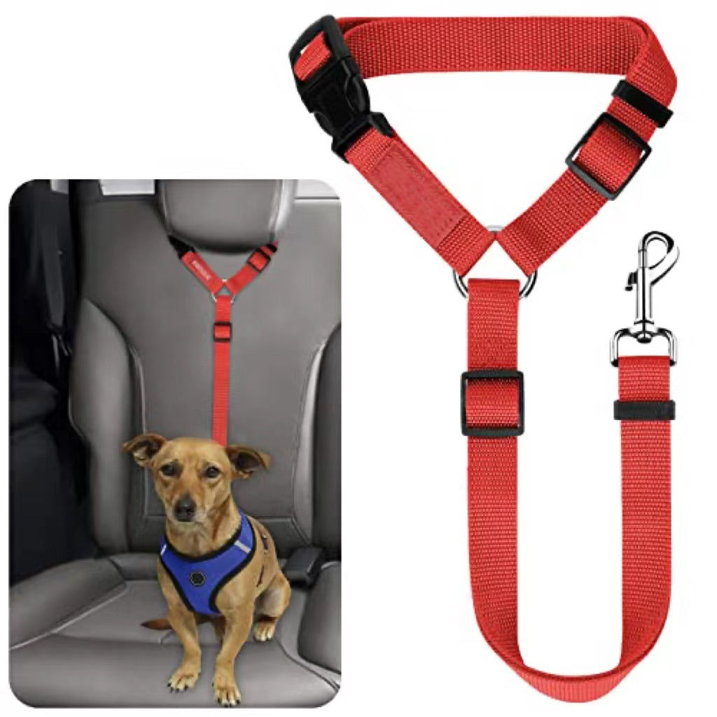 Laisse pour chien, ceinture de sécurité, grand chien