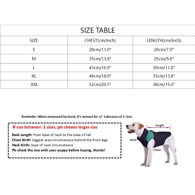 Pull Coton Chihuahua à Imprimé Lettre pour Petits Chiens