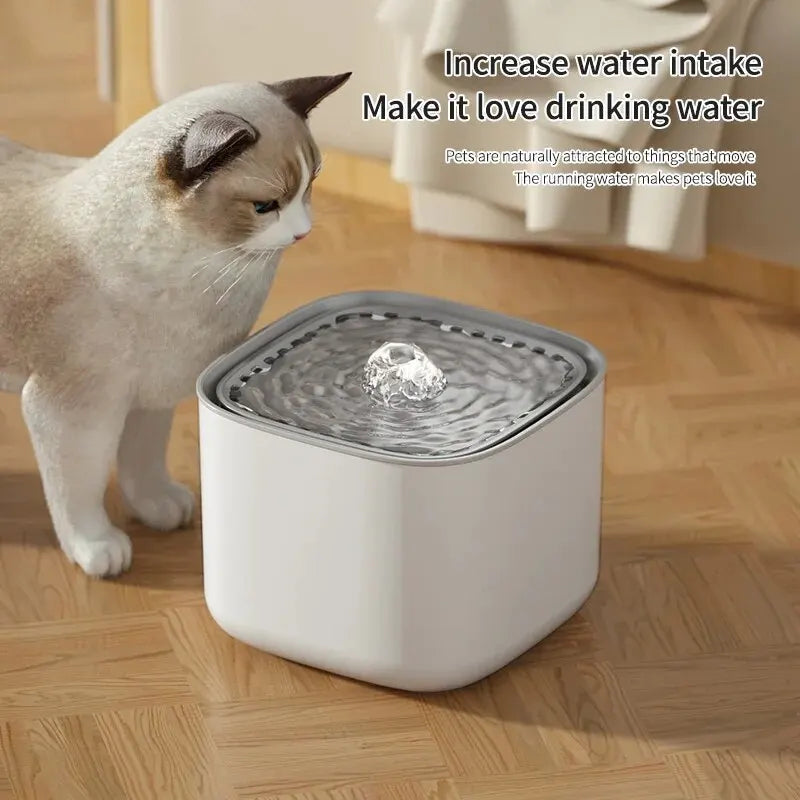 Fontaine à eau pour chiens et chats 3L avec filtration