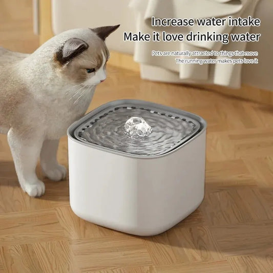 Fontaine à eau pour chiens et chats 3L avec filtration