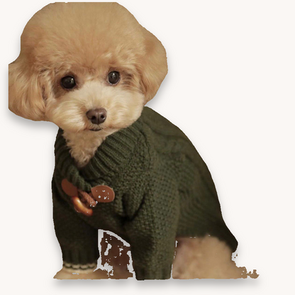Pull en Tricot pour Chien Schnauzer - Confort et Style | Papapattes