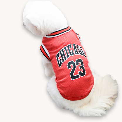 Gilet de Basket pour Chien - Style Sportif et Confortable | Papapattes