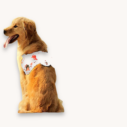 Ceinture de sécurité ajustable pour chiens et chats - Papapattes