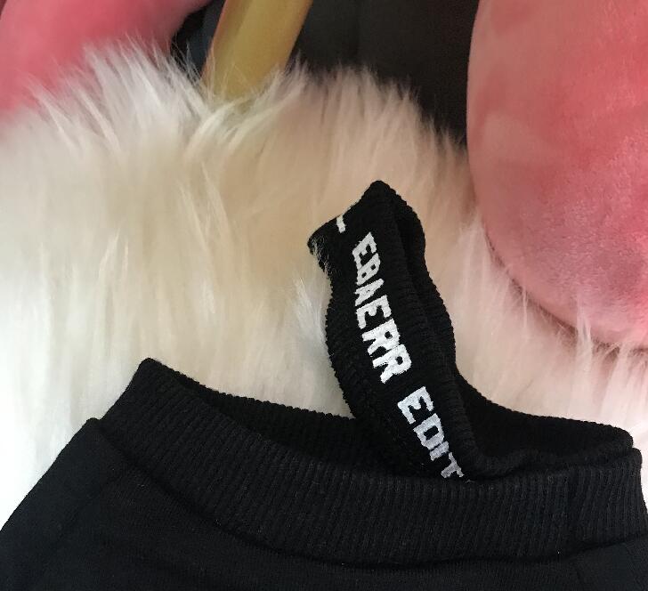 Pull Coton Chihuahua à Imprimé Lettre pour Petits Chiens