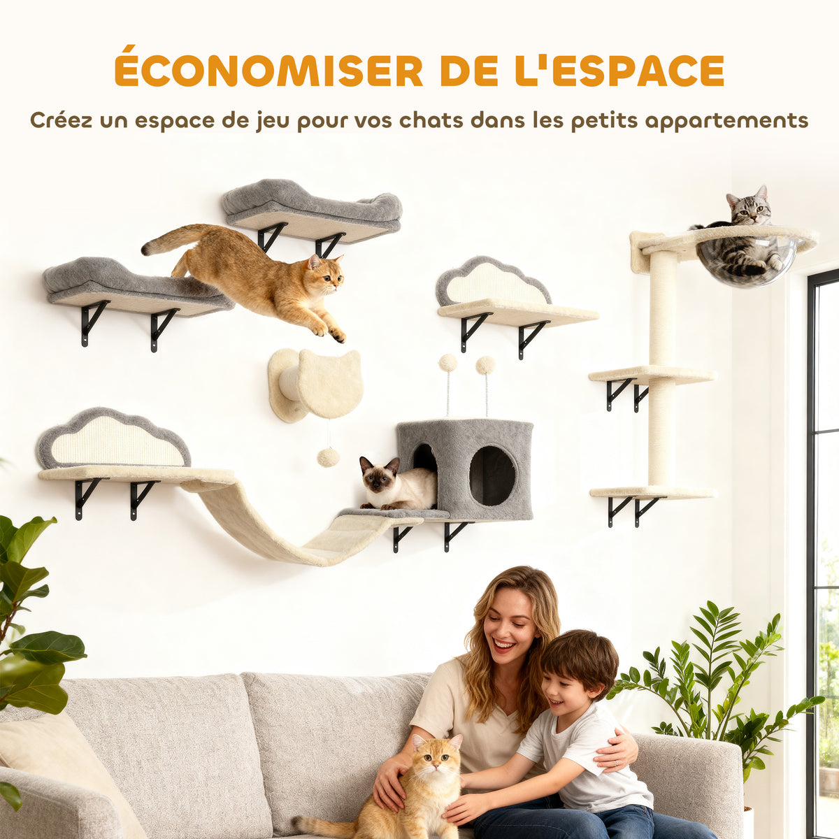 Étagères murales pour chat ensemble de meubles muraux 6 pièces hamac à bulles en acrylique niche hamac échelle beige-4