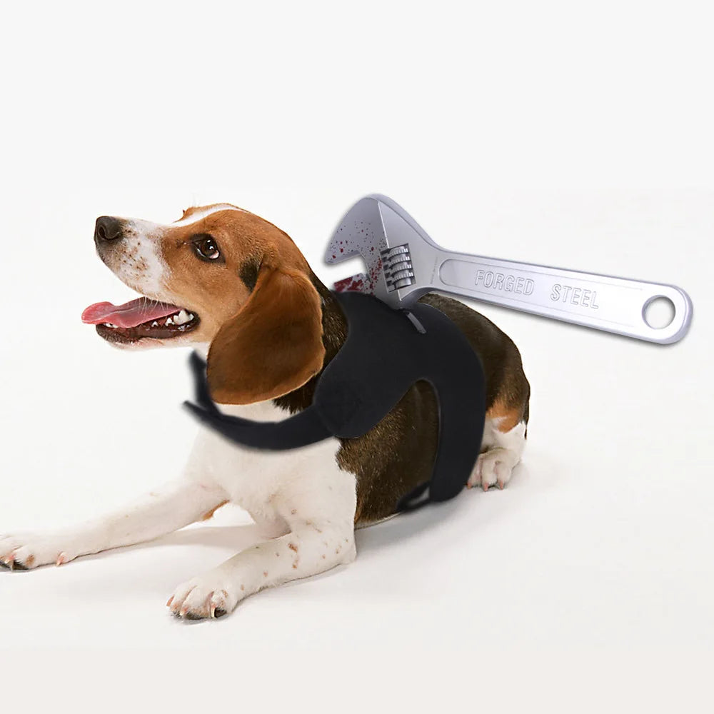 Costumes Cosplay Amusants pour Animaux - Halloween
