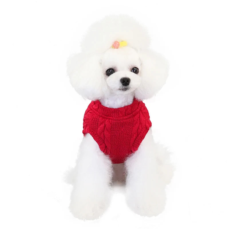 Veste d'hiver pour chiens et chats - Confort et chaleur