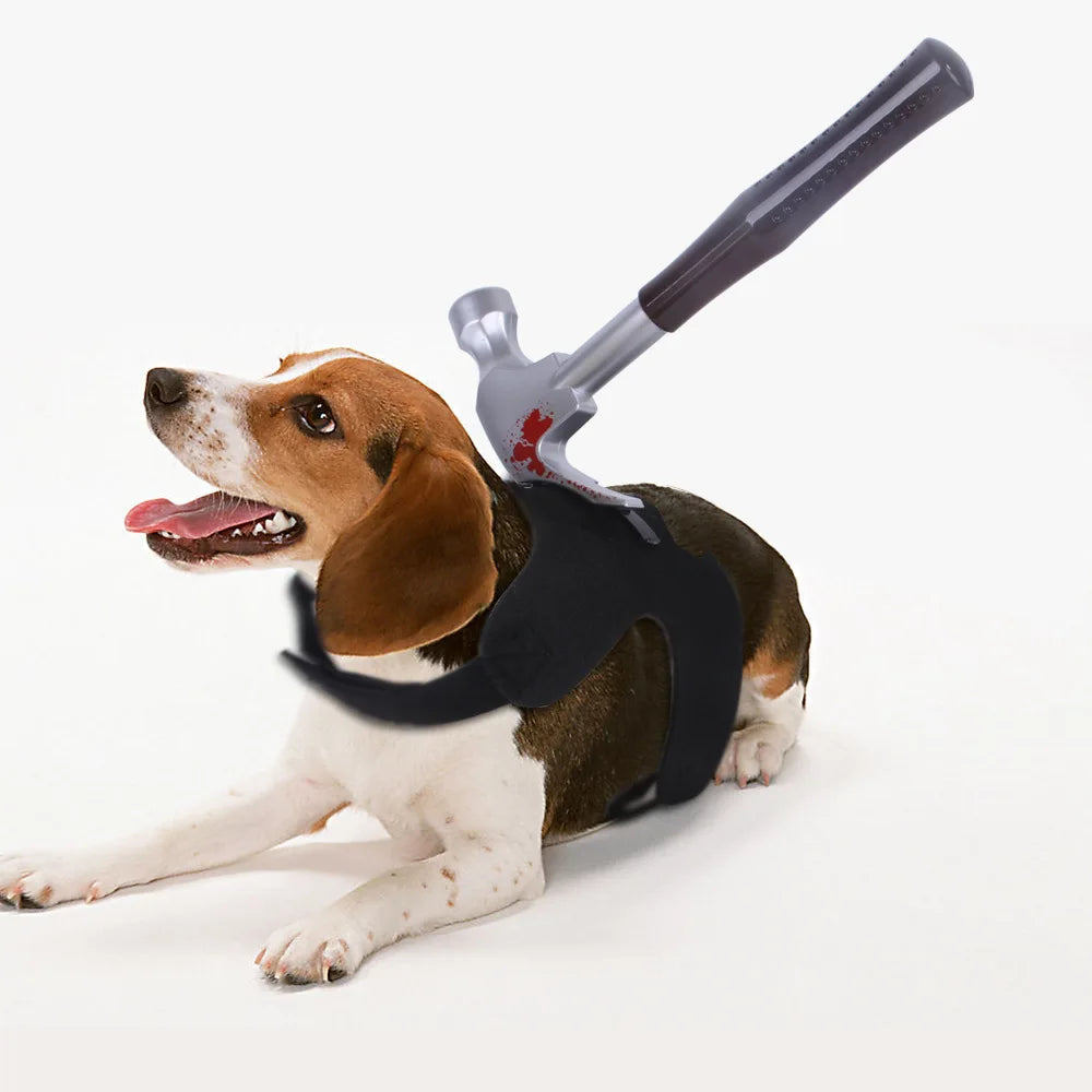 Costumes Cosplay Amusants pour Animaux - Halloween