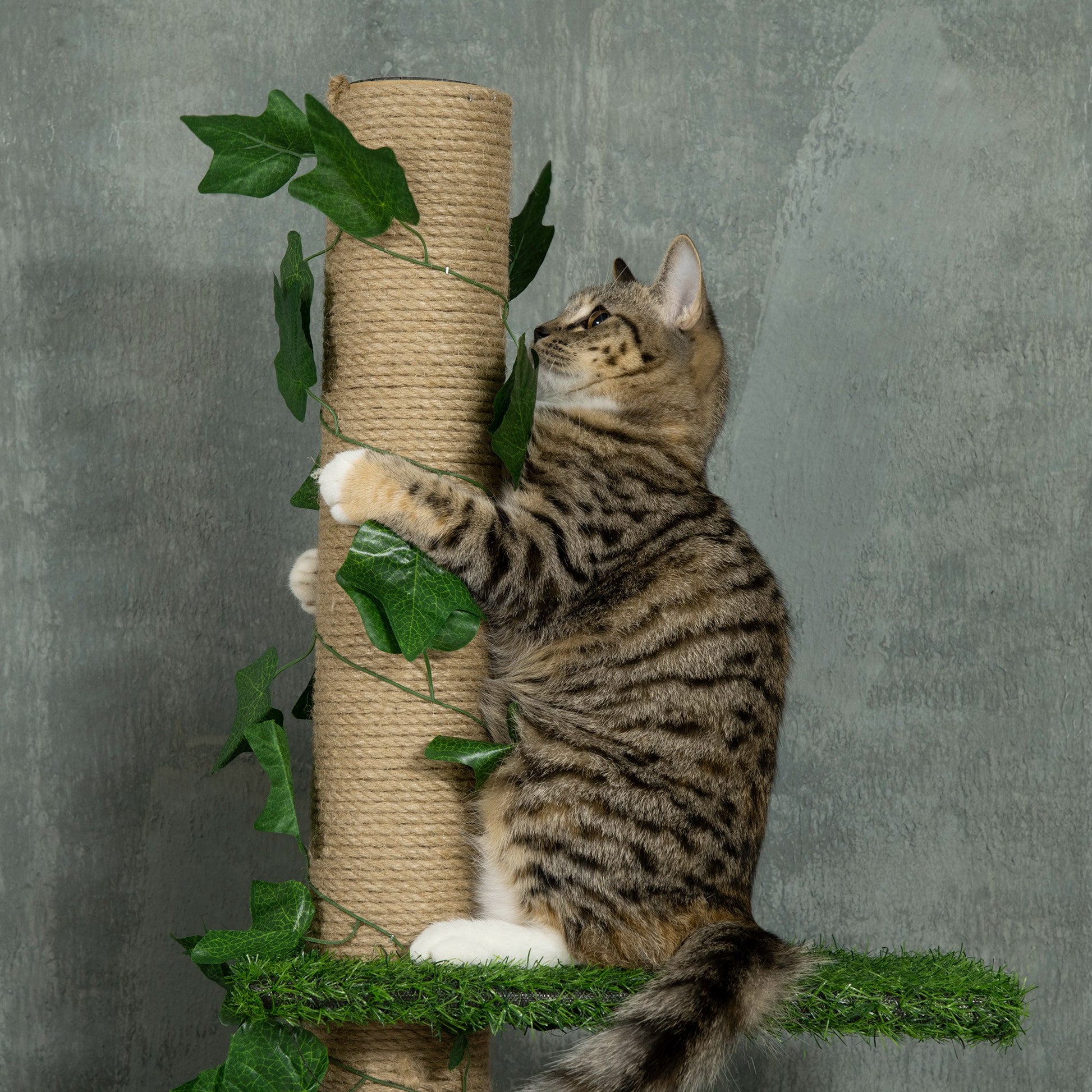 Arbre à chat poteau à griffer fixation plafond hauteur réglable 37 x 21 x 202- 242 cm 4 niveaux vert-7