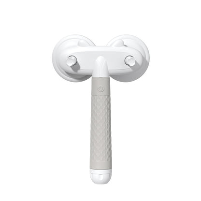 Brosse de toilettage double tête pour chats et chiens