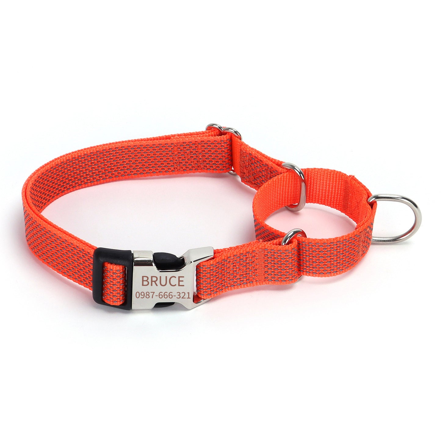 Colliers martingale réfléchissants pour chiens - Sécurité et confort