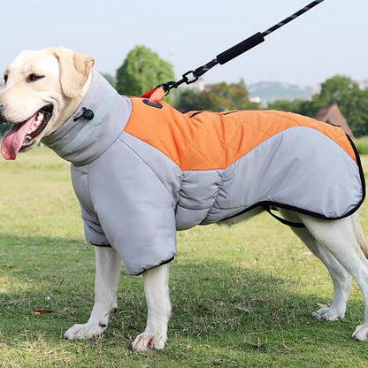 Manteau d'hiver imperméable conçu pour la protection des chiens.