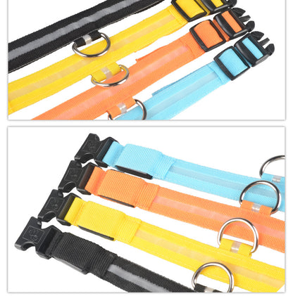 Collier LED lumineux pour chien et chat, visibilité accrue