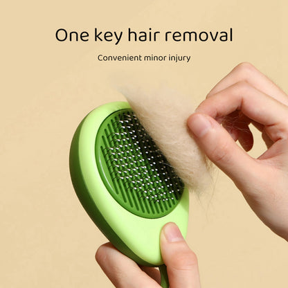 Peigne de toilettage créatif et portable pour chats
