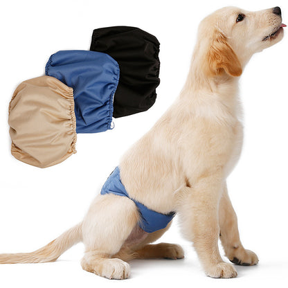 Ceinture de Maintien Hygiénique pour Chien - Papapattes