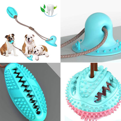 Jouet interactif pour chien, nettoyage dentaire ludique