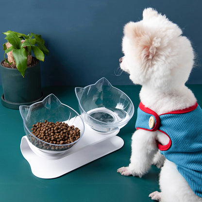 Gamelle inclinée transparente pour chats et chiens, pratique