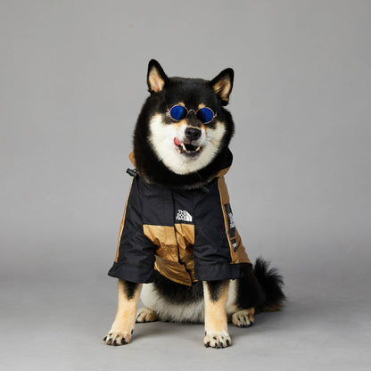 Imperméable élégant pour chien, protection contre la pluie