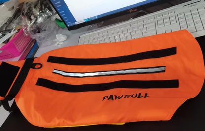 Paw Roll : jouet éducatif stimulant pour chien - Papapattes