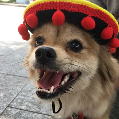 Chapeaux Hot Dog pour Chien et Chat - Style et Confort - Papapattes