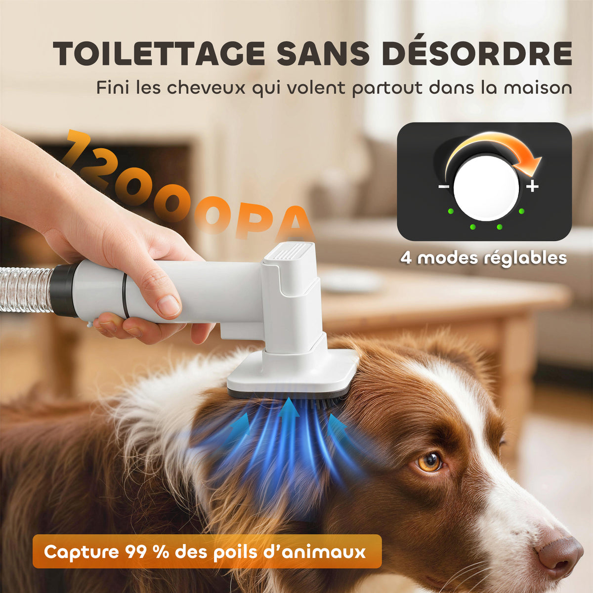 Aspirateur poil de chien et séchoir 5-en-1 kit toilettage chien professionnel 12kPa  50dB 37,6x17,5x18,5cm blanc