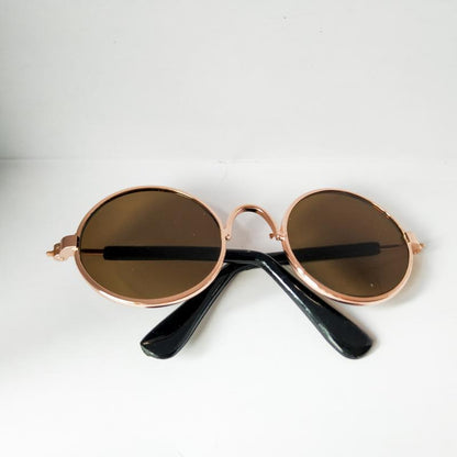 Lunettes de Soleil pour Chats - Confort et Style | Papapattes