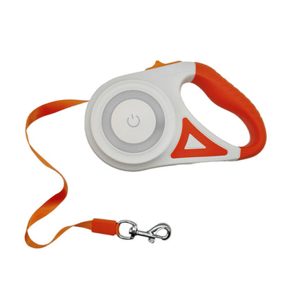 Laisse rétractable lumineuse pour chien, assurant sécurité lors des promenades nocturnes.