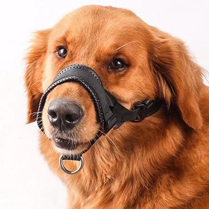 Muselière Nylon Ajustable Anti-Aboiement pour Chien - Papapattes