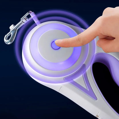 Laisse rétractable lumineuse pour chien, assurant sécurité lors des promenades nocturnes.