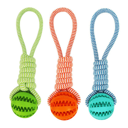 Balles interactives pour petits chiens, combinant jeu et récompenses.