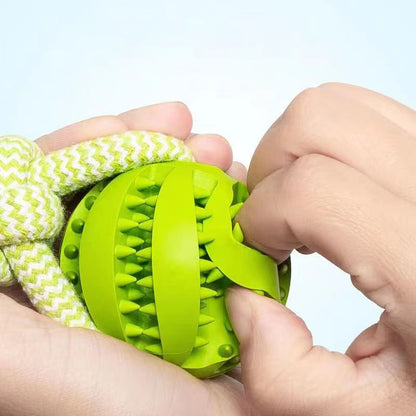 Balles interactives pour petits chiens, combinant jeu et récompenses.