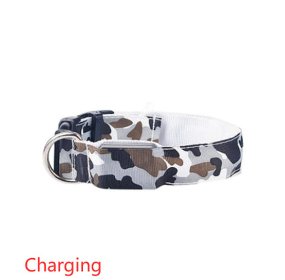 Collier lumineux camouflage, idéal pour chiens et chats en soirée.