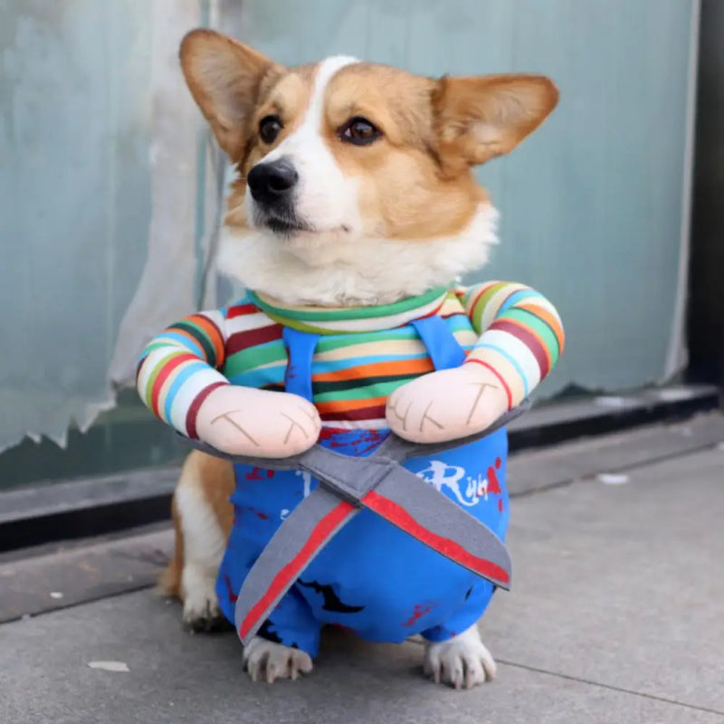 Costume Halloween hilarant pour Chien et Chat - Papapattes
